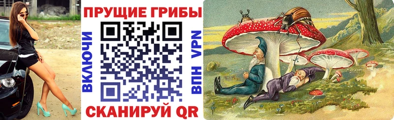 продажа наркотиков  гидра как зайти  Псилоцибиновые грибы Psilocybine cubensis  Нытва 